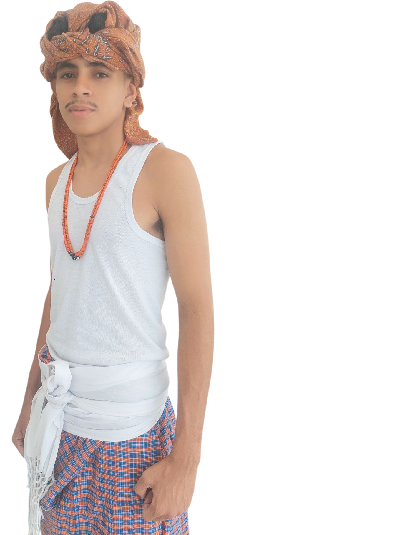 cover_bidau_santa_ana_robin